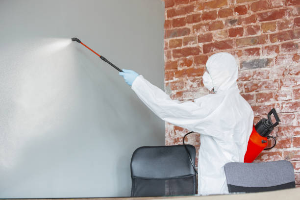 Best Black Mold Removal  in Pughtown, PA