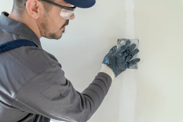 Forensic Mold Investigation in Pughtown, PA