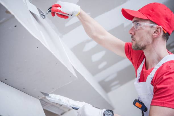 Mold Documentation for Insurance Claims in Pughtown, PA